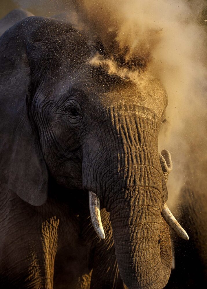 Tanda Tula - First Class Magazine