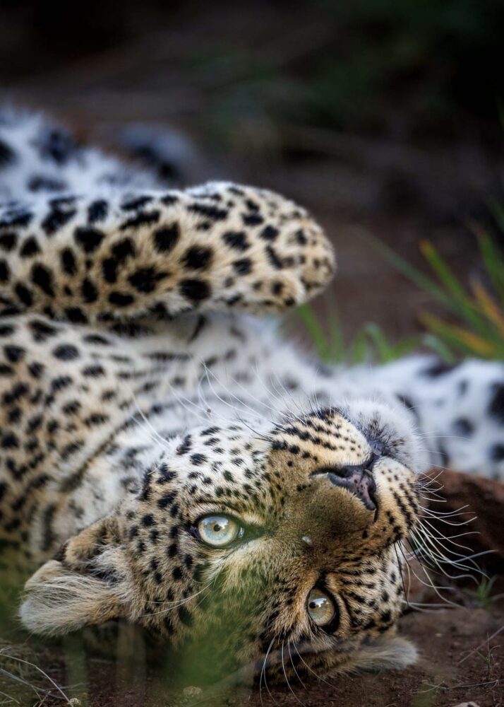 Tanda Tula - First Class Magazine