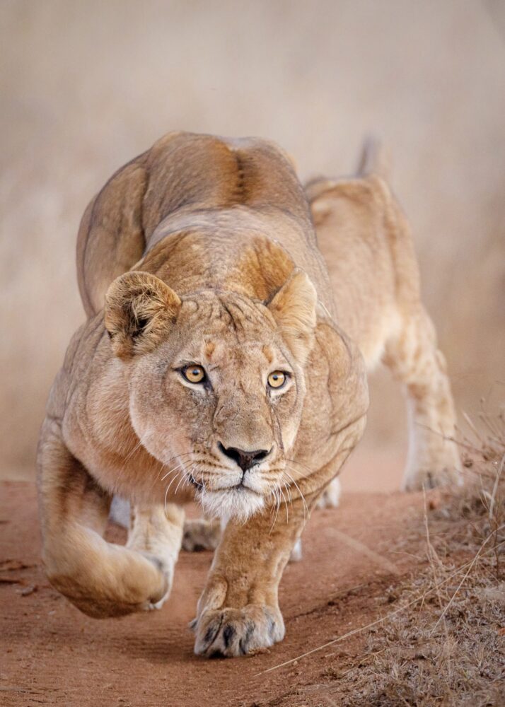 Tanda Tula - First Class Magazine