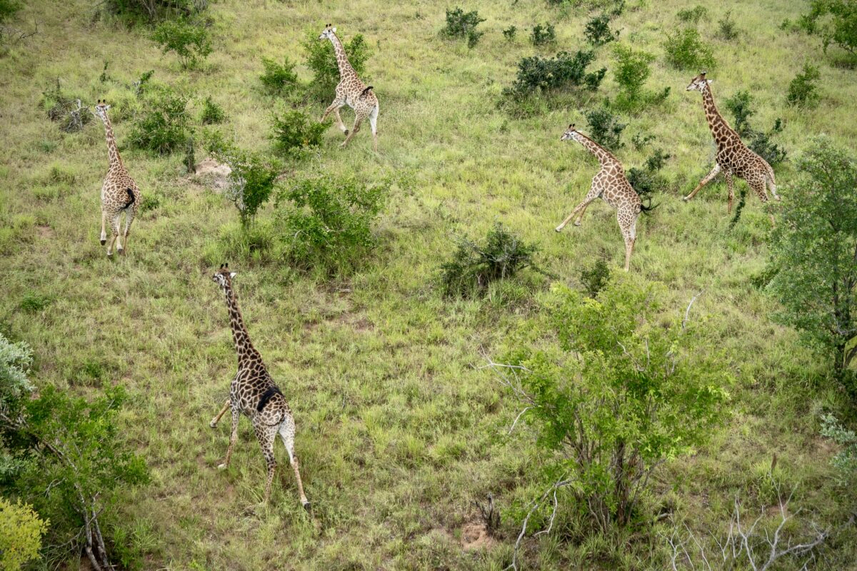 Tanda Tula - First Class Magazine