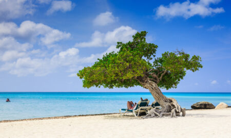 När är det varmt? Guide till 20 resmål för vintervärme