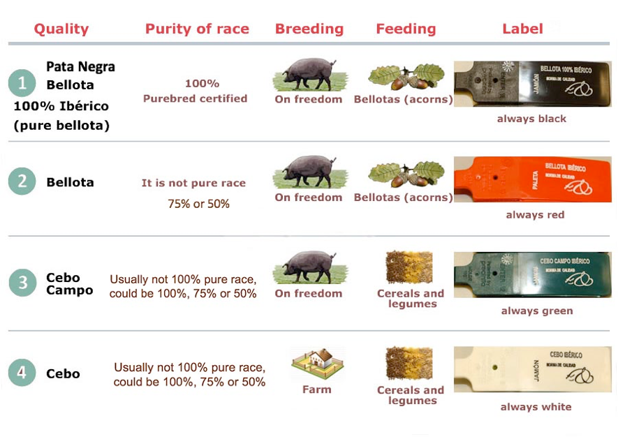 Spanska delikatesser - First Class Magazine
