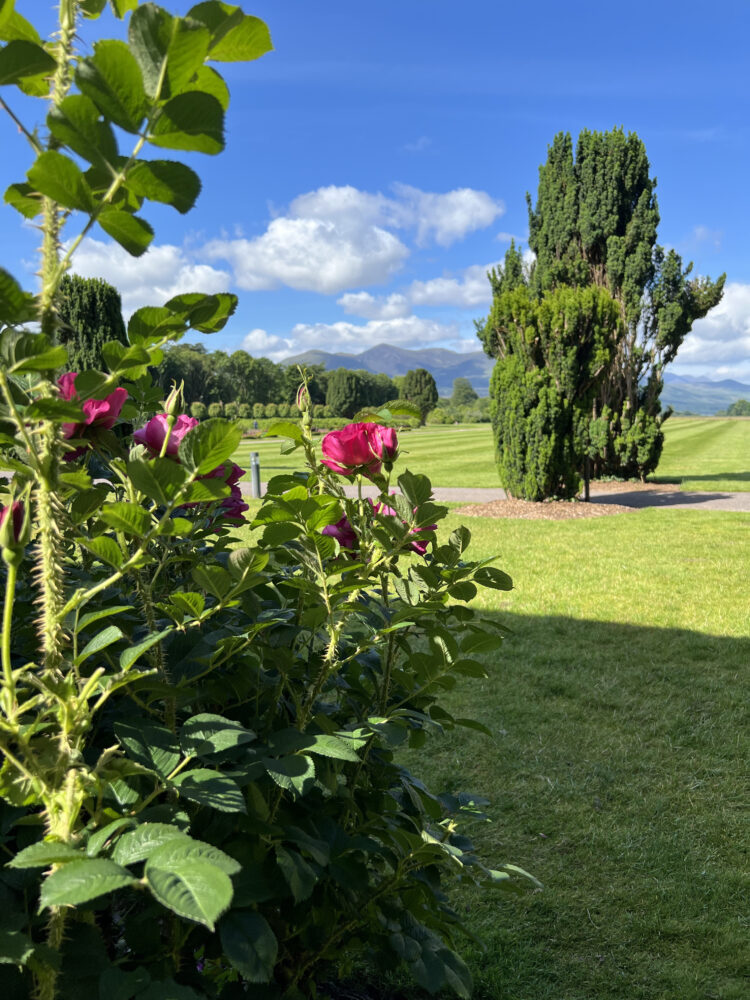 Killarney House and Gardens