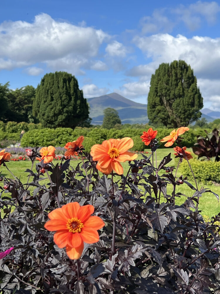 Killarney House and Gardens