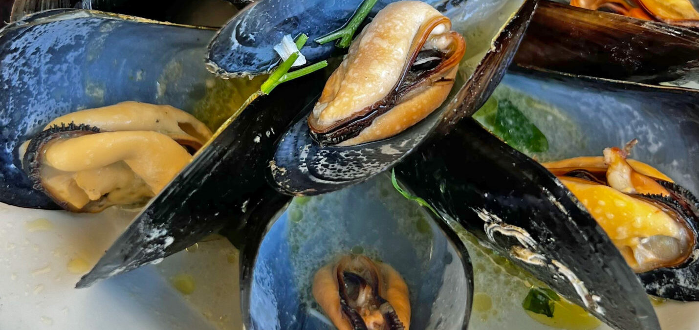 Mussels