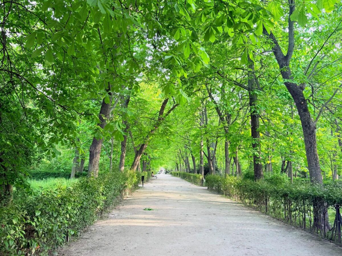 Retiroparken - First Class Magazine