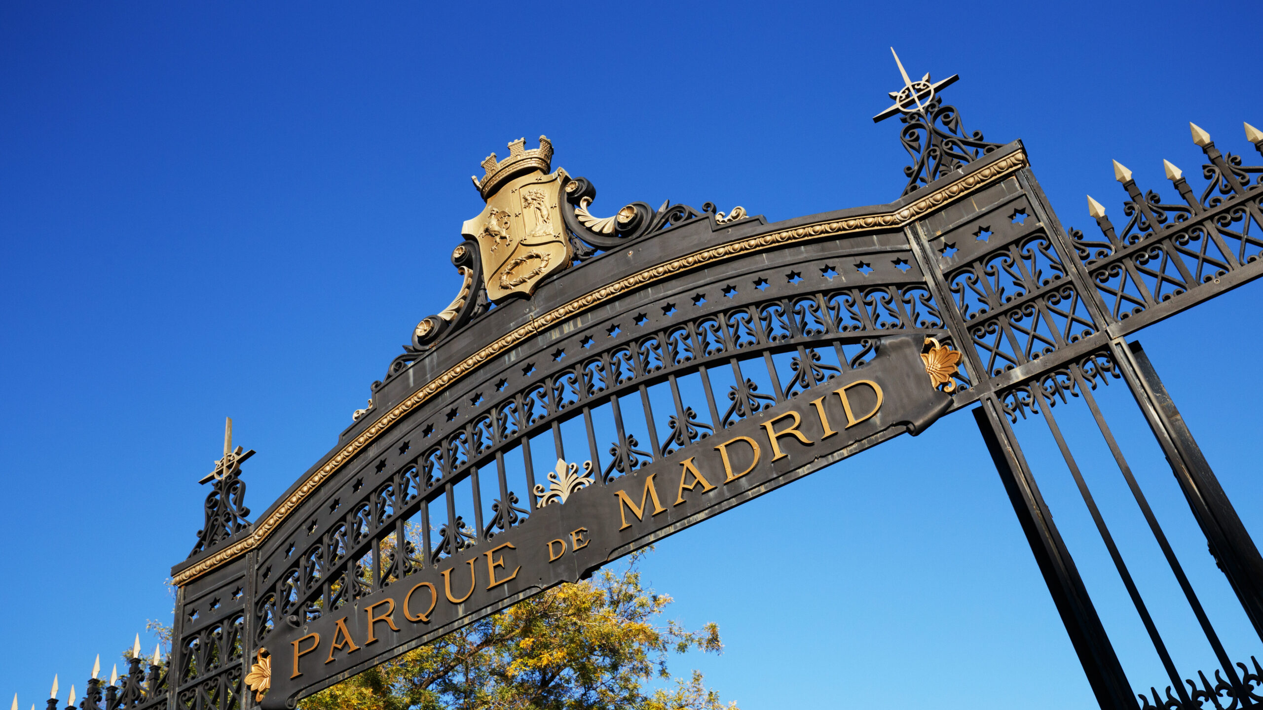 Retiroparken, Parque del Retiro Madrid
