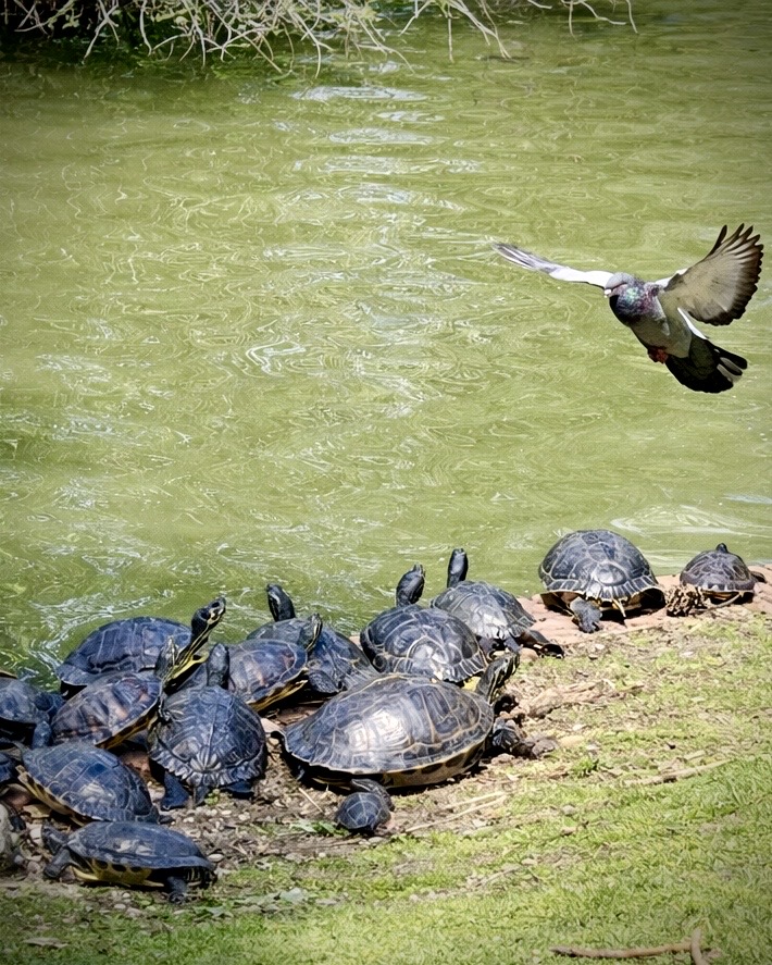 Retiroparken - First Class Magazine