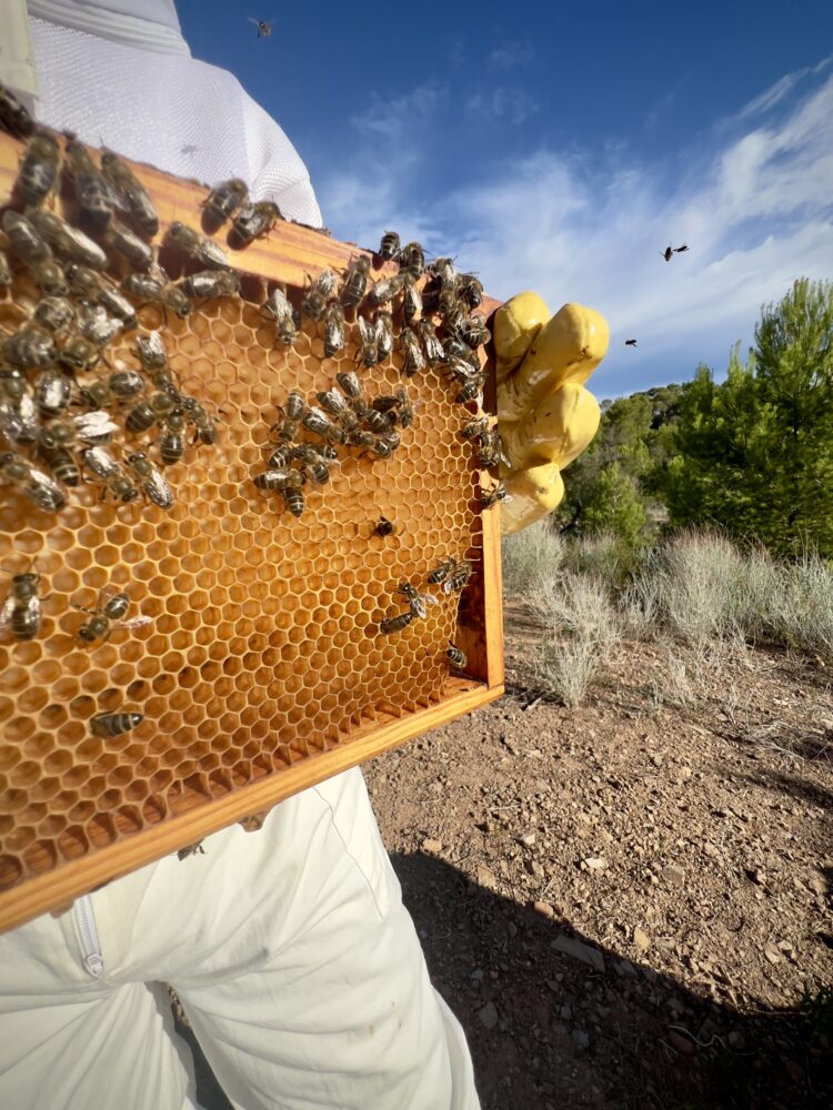 Son Bunyola - First Class Magazine