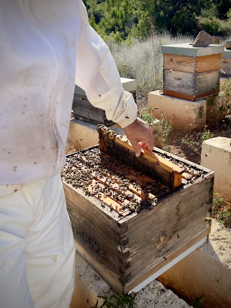 Son Bunyola - First Class Magazine