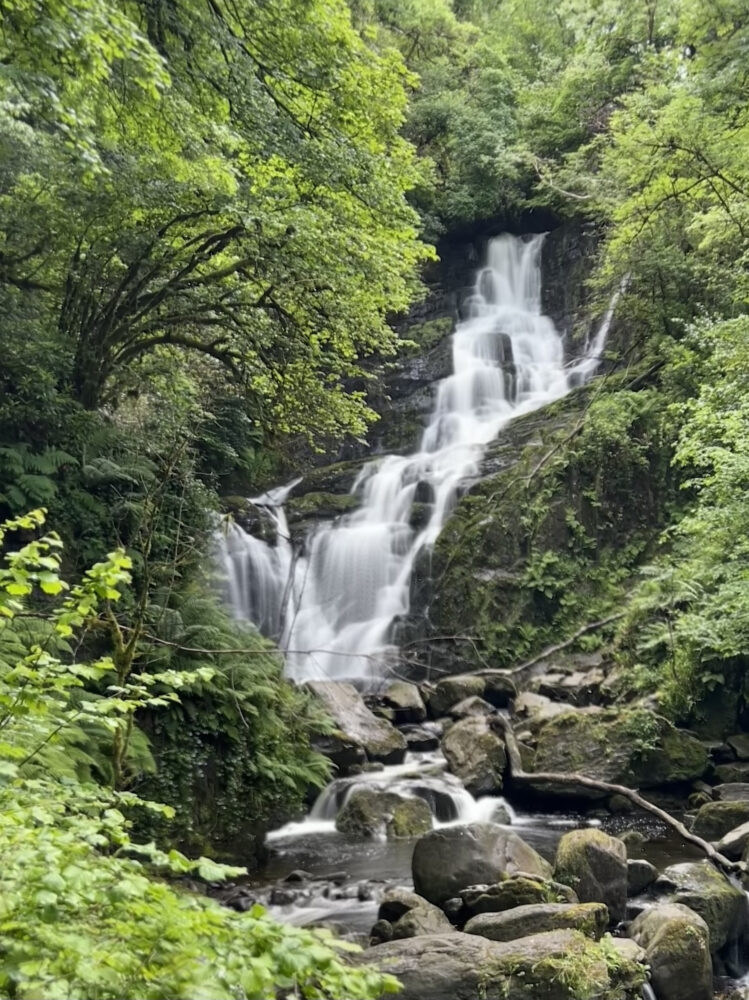 Killarney National Park