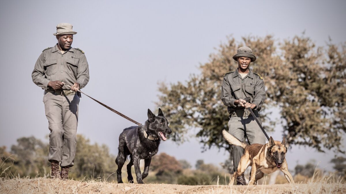 Timbavati - First Class Magazine