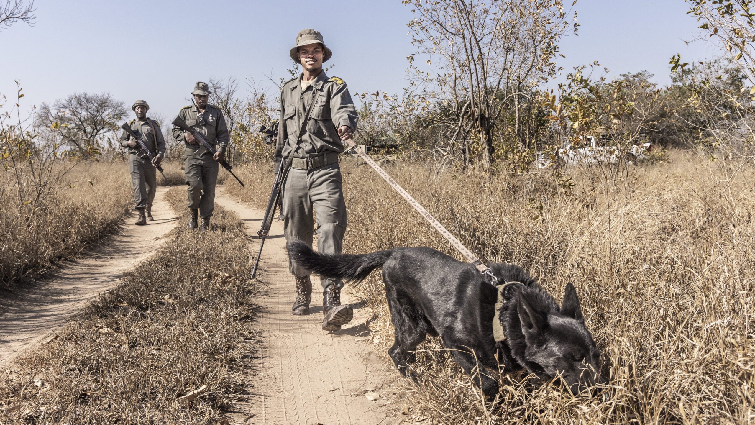 Timbavati Nature Reserve