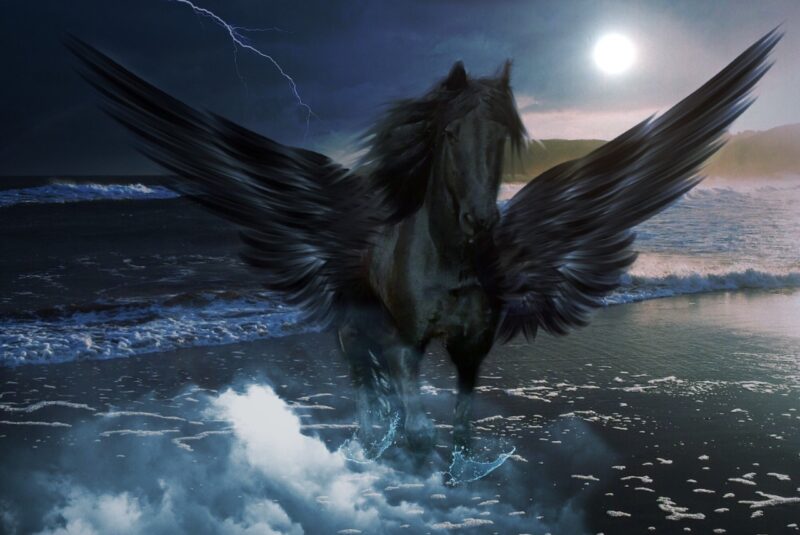 quiz - First Class Magazine