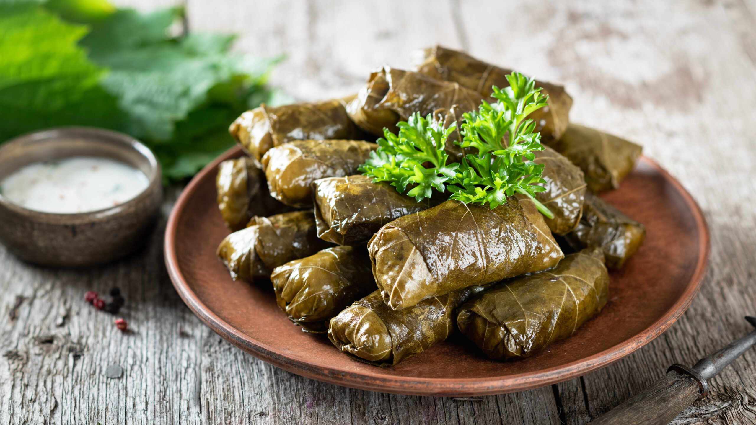 sarma, vindolmar