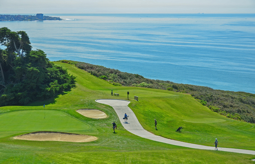 Torry Pines golf