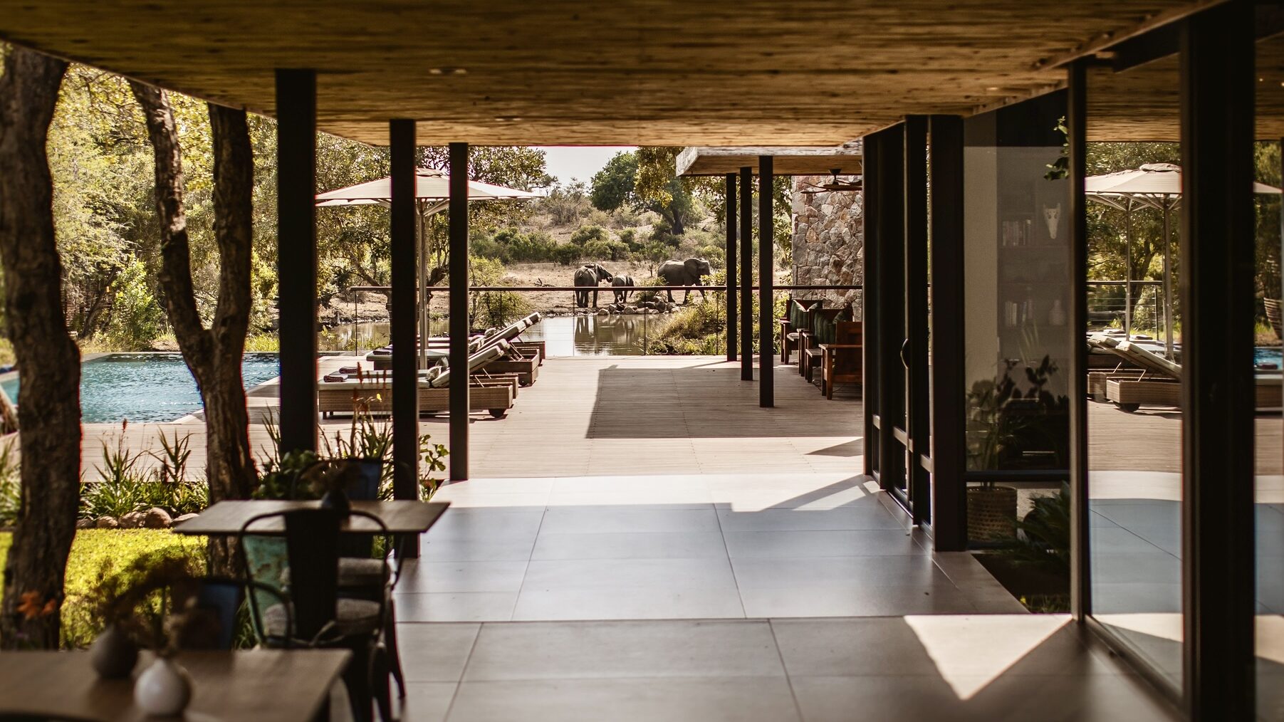 Tanda Tula Safari Camp