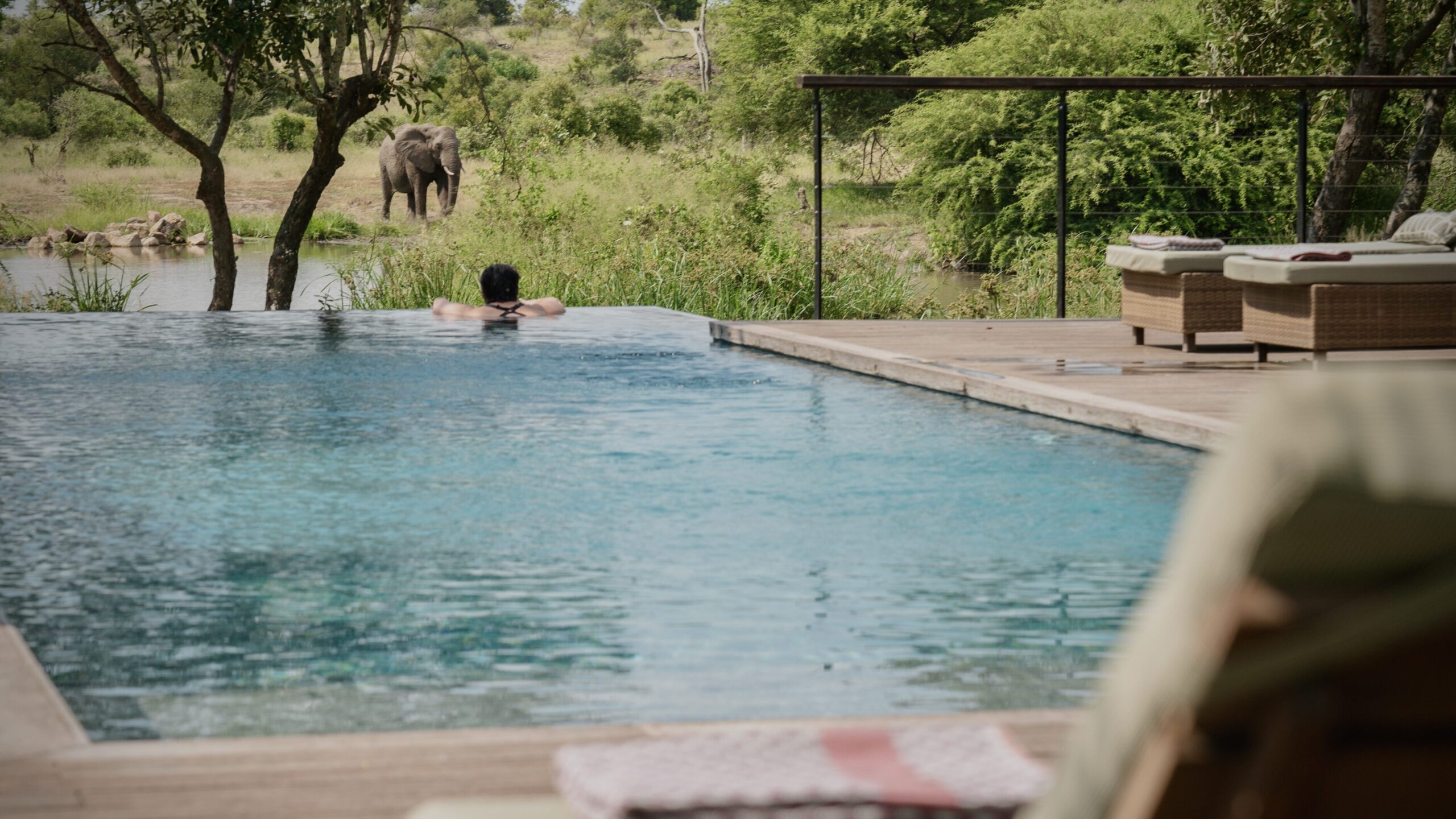 Tanda Tula Safari Camp