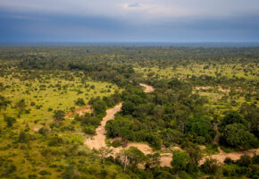 Timbavati Nature Reserve – där vildmarken kommer först