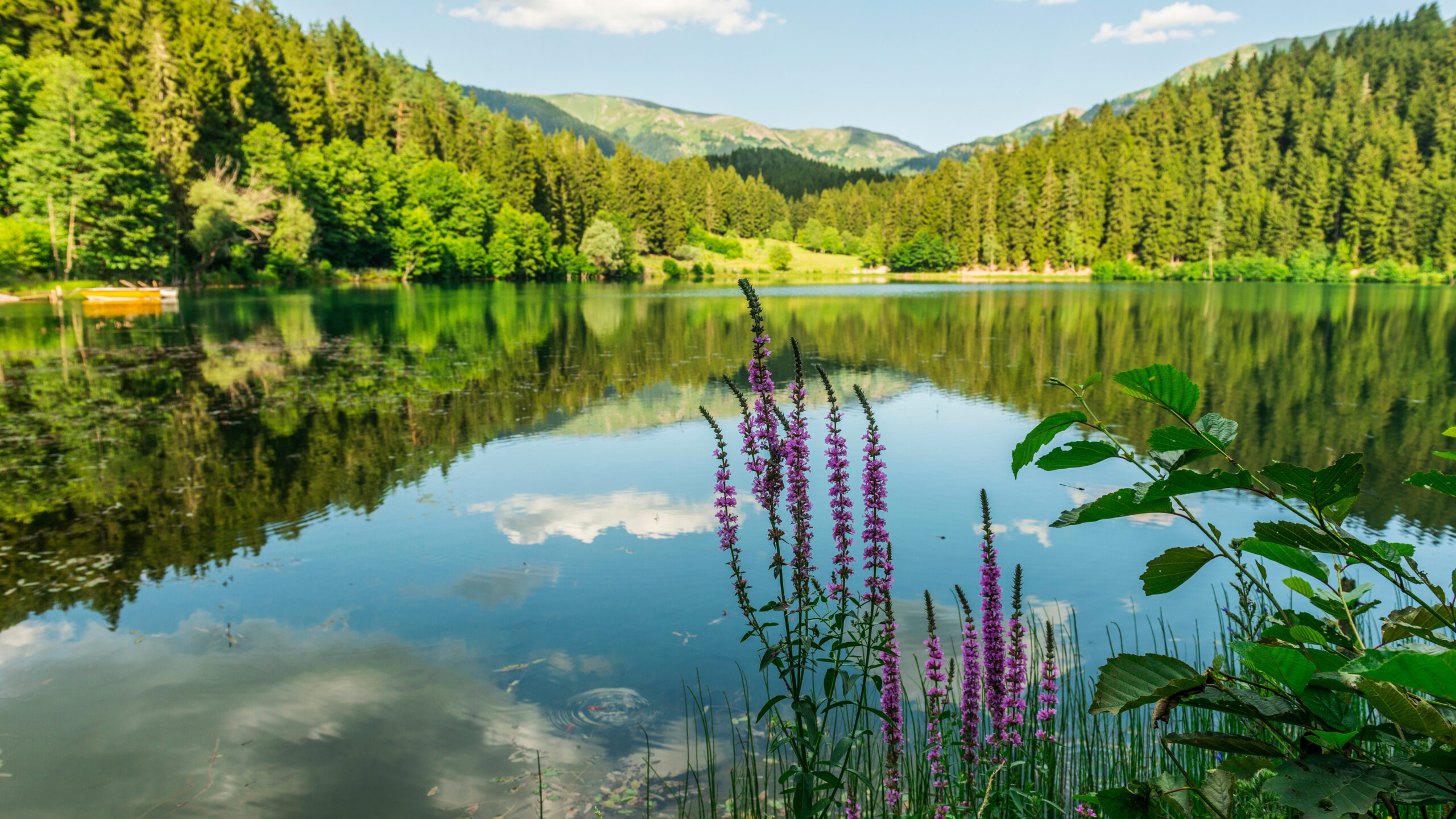 vandra-i-artvin-turkiet